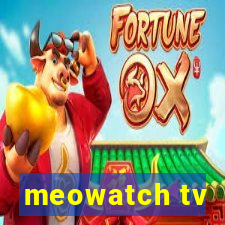 meowatch tv